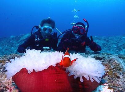 体験ダイビング（２ボートダイブ）マールプロモーション（MA01）