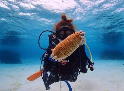 体験ダイビング（２ボートダイブ）マールプロモーション（MA01）