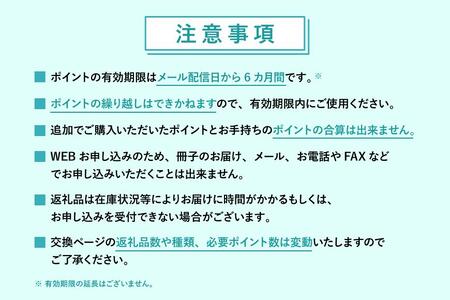 あとから選べるWEBカタログギフト（寄附5万円コース）15000ポイント宮古島市（JO001）