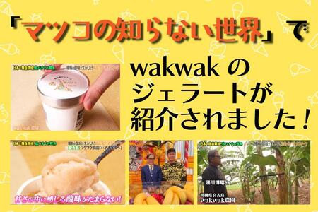 【宮古島産フルーツ使用】宮古島ジェラート 贅沢6種食べ比べセット(WK01)