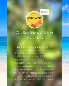 【宮古島産フルーツ使用】宮古島ジェラート 贅沢6種食べ比べセット(WK01)