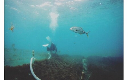 漁師直送!伊良部島産(宮古島)もずく贅沢セット(HW14)