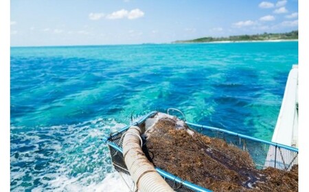 漁師直送!伊良部島産(宮古島)もずく贅沢セット(HW14)