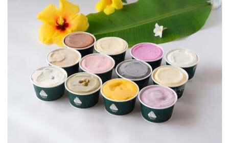 C101　ジェラート12個セット | トロピカル 夏ギフト お中元 夏 クリスマス アイス 詰め合わせ セット ジェラート おやつ お菓子 スイーツ 