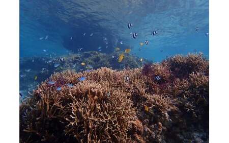 CT04　二大定番アクティビティ半日凝縮セットプラン