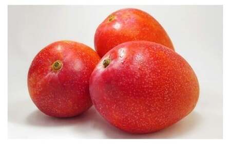 CZ013《先行予約2026年発送》【宮縁果樹園】宮古島産 奇跡のマンゴー 4kg 優品