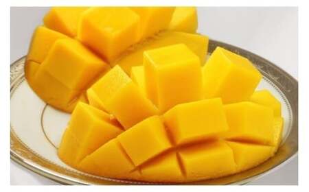 CZ013《先行予約2026年発送》【宮縁果樹園】宮古島産 奇跡のマンゴー 4kg 優品