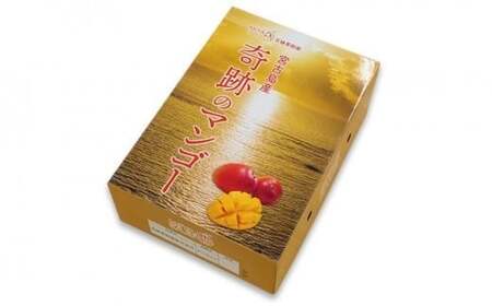 CZ013《先行予約2026年発送》【宮縁果樹園】宮古島産 奇跡のマンゴー 4kg 優品