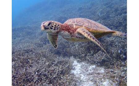 CT05　宮古島の自然を満喫！宮古島半日アクティビティ