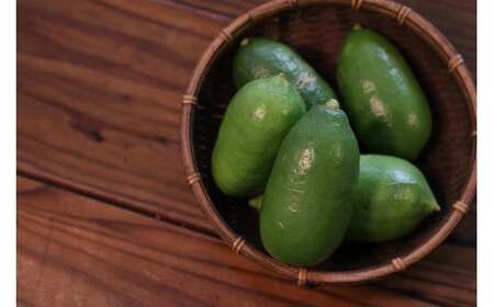 MOSESU CURRYの島カレーシリーズ　軟骨ソーキと島レモンのカレー 250g×6食（FP001）