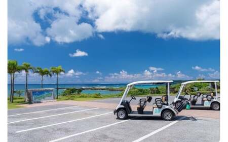 エメラルドコーストゴルフリンクス プレー9,000点クーポン