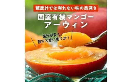 DQ015《先行予約》2026年発送 有機JAS認証マンゴー(アーウィン)贈答用 2kg【楽園の果実】