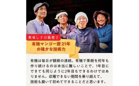 DQ015《先行予約》2026年発送 有機JAS認証マンゴー(アーウィン)贈答用 2kg【楽園の果実】