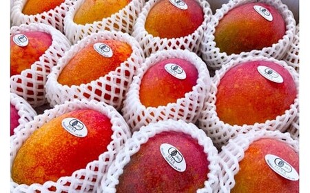 《先行予約》2026年発送 有機JAS認証マンゴー(アーウィン)ご自宅用 4kg【楽園の果実】(DQ019)