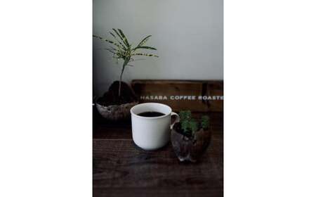 HASABA COFFEE Fresh Drip Bag