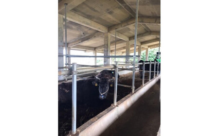 JH012　宮古島ほろよい牛　ブレザオラ（牛生ハム）（80g×3）