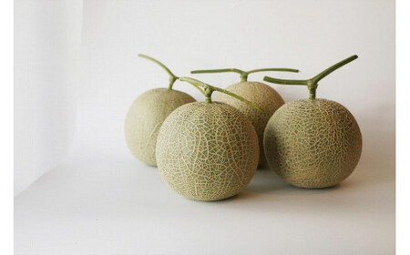 沖縄県宮古島産 春メロン【大玉２玉】｜贈答用・高級果物・赤肉メロン(琉球マルシェ）