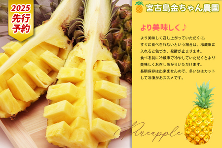 先行予約》【2025年発送】宮古島産ピーチパイン 2kg（3～4個