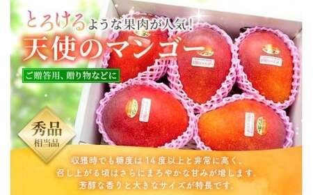 《先行予約 2026年発送》『天使のマンゴー』宮古島産アーウィンマンゴー 約800g （2玉）【ご贈答用】「LA MANGUE BLEUE」農家直送（GZ002）