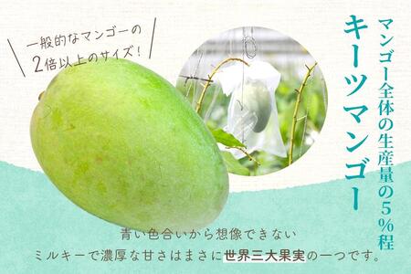 先行予約 2026年発送》『天使のマンゴー』宮古島産キーツマンゴー 1.6