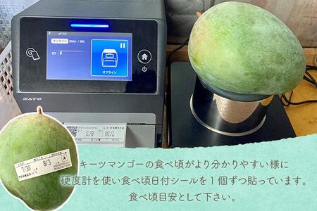 《先行予約 2026年発送》『天使のマンゴー』宮古島産キーツマンゴー 1.6kg (2玉)【ご贈答用】「LA MANGUE BLEUE」農家直送(GZ004)