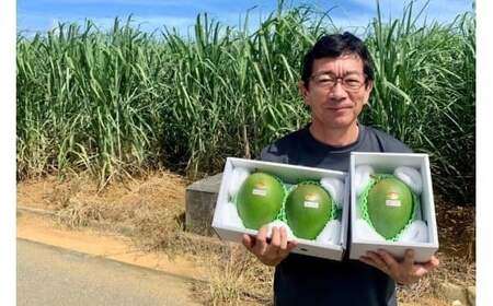 先行予約 2026年発送》『天使のマンゴー』宮古島産キーツマンゴー 1.6