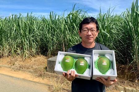 《先行予約 2026年発送》 『天使のマンゴー』宮古島産キーツマンゴー 約800g（1玉）ご贈答用「LA MANGUE BLEUE」農家直送（GZ005）