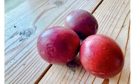 宮古島産パッションフルーツのフォンダンショコラ 3個入り（HB001）