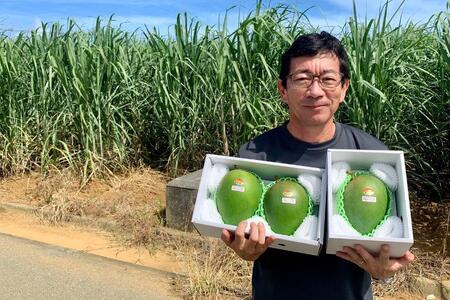 《先行予約 2026年発送》『天使のマンゴー』宮古島産キーツマンゴー《LA MANGUE BLEUE》【ご自宅用】農家直送 1.6kg以上(2個入り)(GZ007)