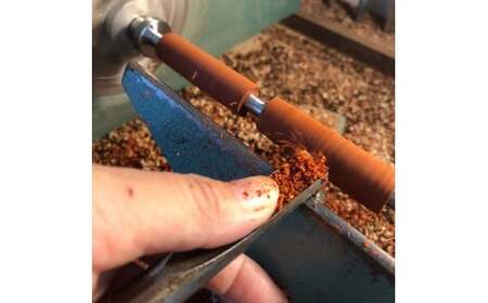 ギュッと沖縄のボールペン (ノック式／金具：黒色)