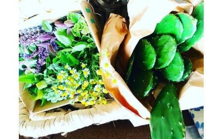 choukrane KOSO（酵素シロップ）750ml