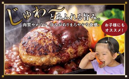 《あぐ～豚の旨みを凝縮》ハンバーグ 120g × 16個（1920g）冷凍【美ら島あぐ～】|沖縄県 南城市 沖縄従来アグーと良質な白豚をかけあわせた 豚肉のハンバーグ 1.92kg 送料無料