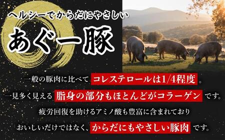 【3ヵ月定期便】【美ら島あぐ～】冷凍ハンバーグ