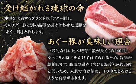 【3ヵ月定期便】【美ら島あぐ～】冷凍ハンバーグ
