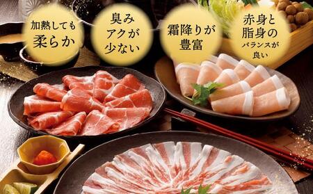 【3ヵ月定期便】【美ら島あぐ～】冷凍ハンバーグ