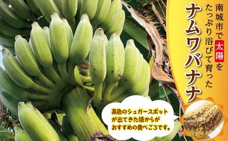 バナナ 南城市 ナムワバナナ 10kg