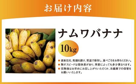バナナ 南城市 ナムワバナナ 10kg