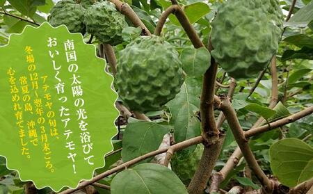 ＜先行受付＞【数量限定】南城市で育った森のアイスクリーム：アテモヤ（２kg箱詰め）