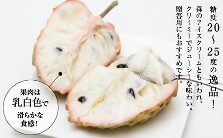 ＜先行受付＞【数量限定】南城市で育った森のアイスクリーム：アテモヤ（２kg箱詰め）