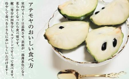 ＜先行受付＞【数量限定】南城市で育った森のアイスクリーム：アテモヤ（２kg箱詰め）