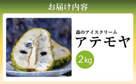 ＜先行受付＞【数量限定】南城市で育った森のアイスクリーム：アテモヤ（２kg箱詰め）