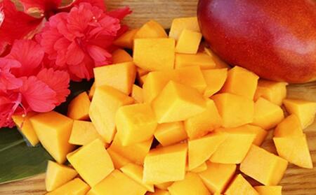 【2026年発送・先行予約】訳あり南城市観光協会イチ推し！ご褒美アップルマンゴー　1.5kg