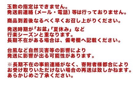【2026年発送・先行予約】ご家庭用ご褒美アップルマンゴー 2kg