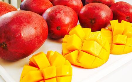 【2026年発送・先行予約】ご家庭用ご褒美アップルマンゴー 2kg