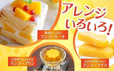 (2026年発送・先行予約)【マンゴーfarm新】 沖縄県南城市産マンゴー化粧箱1kg