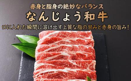 《極上の味わい》和牛しゃぶしゃぶ用 200g×2パック 合計400g なんじょう和牛|黒毛和牛 しゃぶしゃぶ 牛肉 沖縄県 南城市 送料無料【TM01】