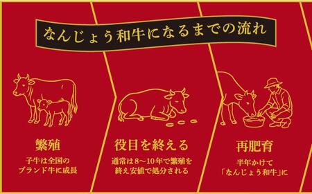 《極上の味わい》和牛しゃぶしゃぶ用 200g×2パック 合計400g なんじょう和牛|黒毛和牛 しゃぶしゃぶ 牛肉 沖縄県 南城市 送料無料【TM01】
