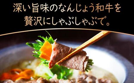 《極上の味わい》和牛しゃぶしゃぶ用 200g×2パック 合計400g なんじょう和牛|黒毛和牛 しゃぶしゃぶ 牛肉 沖縄県 南城市 送料無料【TM01】