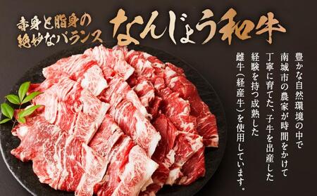 《使い勝手抜群!!》 和牛切り落とし 200g×2パック なんじょう和牛 合計400g |黒毛和牛 和牛 切り落とし モモ ウデ バラ 沖縄県 南城市 牛肉【TM03】