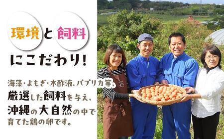 卵の黄身が掴めるほどの新鮮さ 美ら卵養鶏場の卵 60個【3ヶ月定期便】